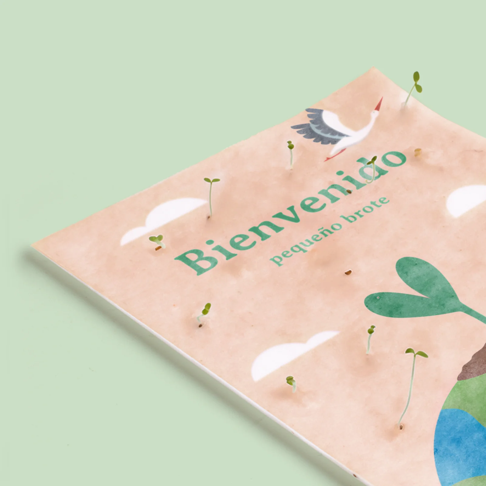 Postal Plantable Bienvenido Con Semillas De Zanahoria – Regalo Original Que Florece Para Recién Nacidos | Resetea - Image 3