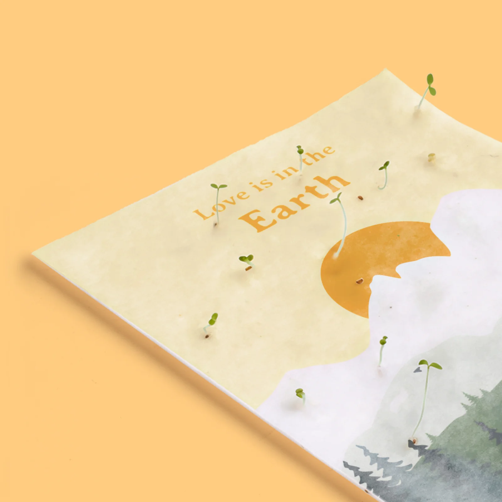 Postal Plantable Love Is In The Earth Con Semillas De Manzanilla – Regalo Romántico Que Florece | Resetea - Image 3