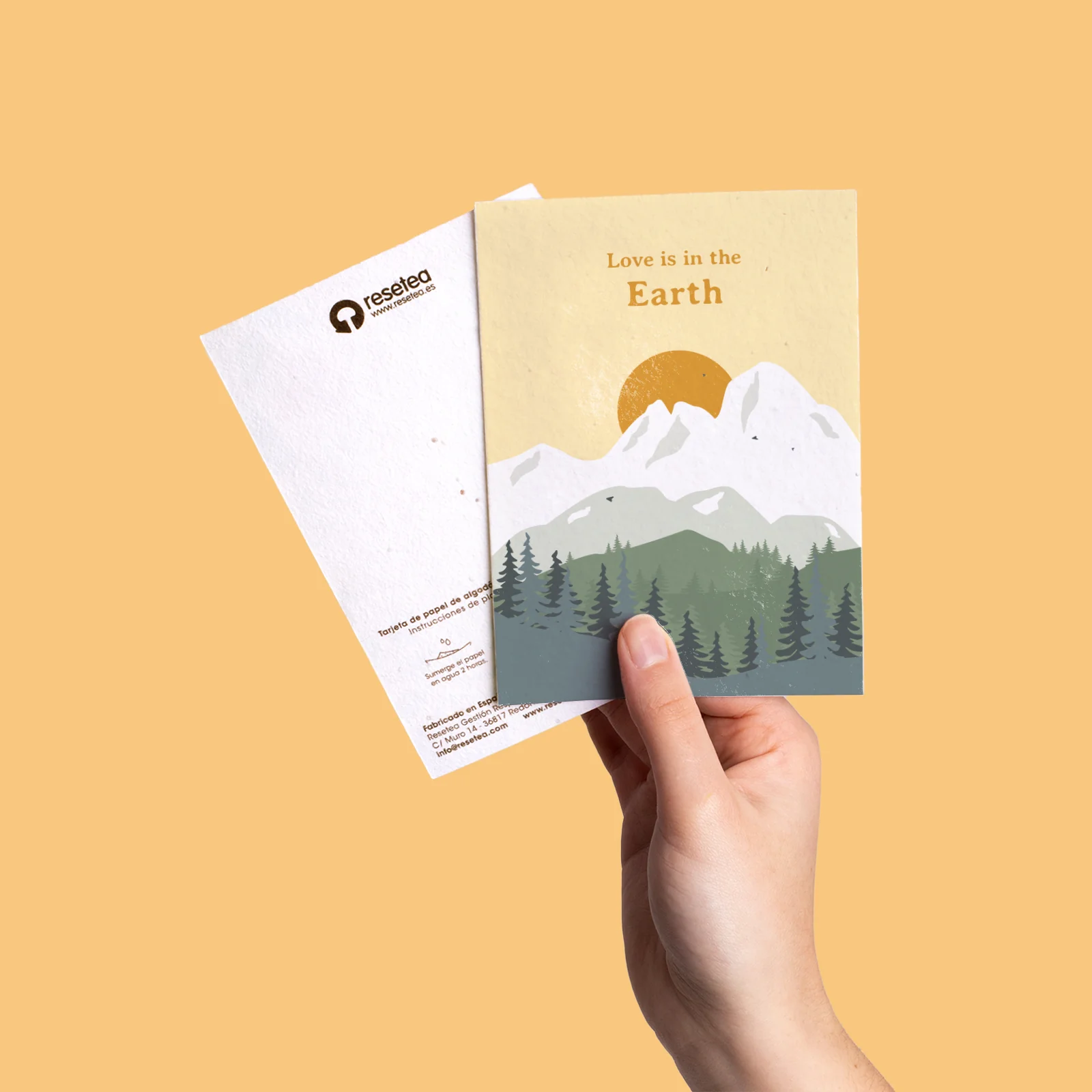 Postal Plantable Love Is In The Earth Con Semillas De Manzanilla – Regalo Romántico Que Florece | Resetea - Image 4