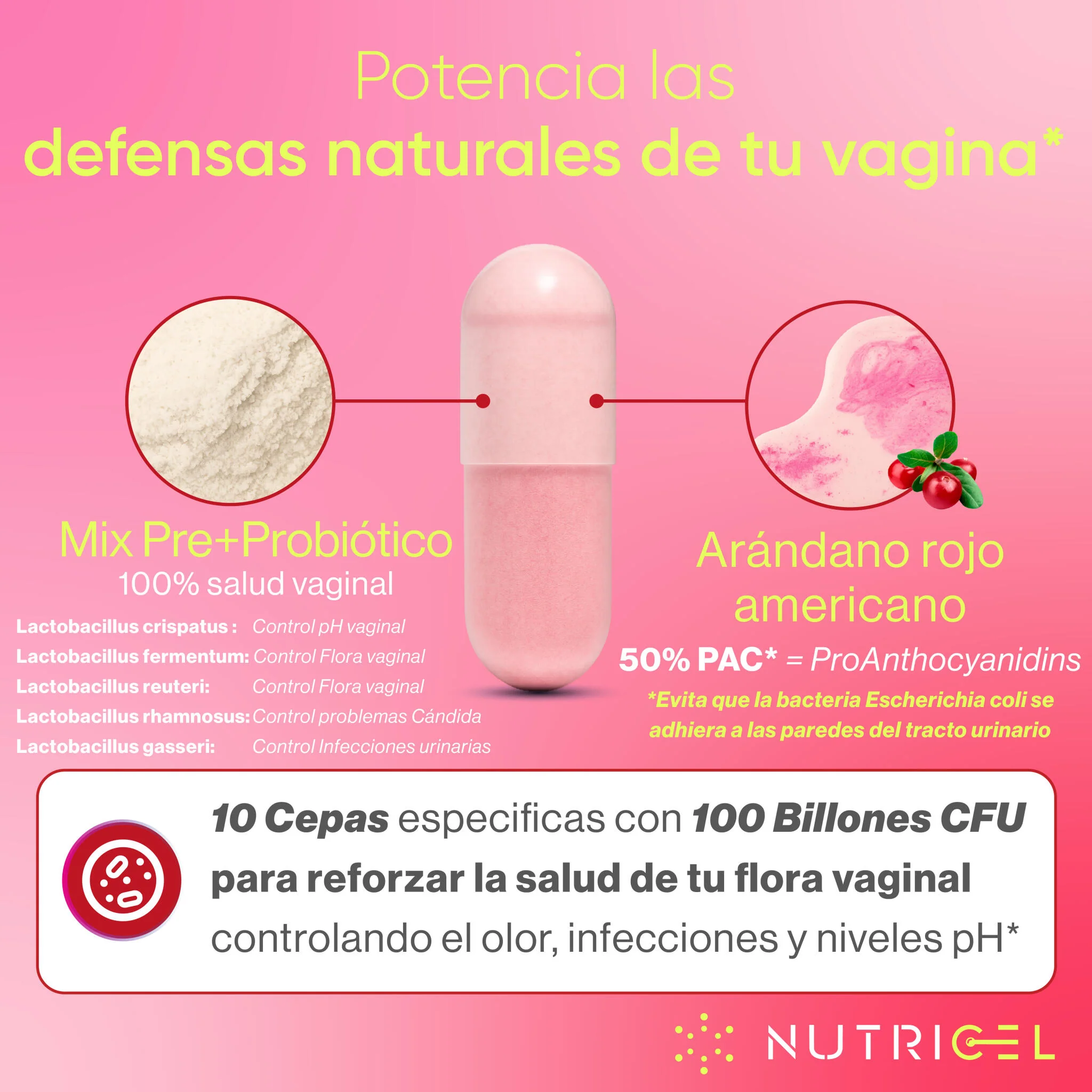 Probione Femme® - Probióticos Vaginales 10 Cepas Especificas + 100 Billones Ufc - Image 3