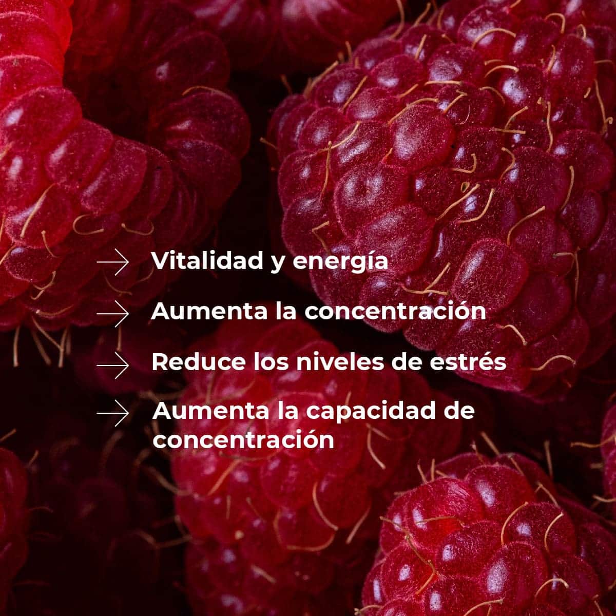 Recambio Mikado Frutos Rojos 200 ml con Varillas | Aroma Dulce y Frutado | Refill Difusor | Larga Duración - Image 2