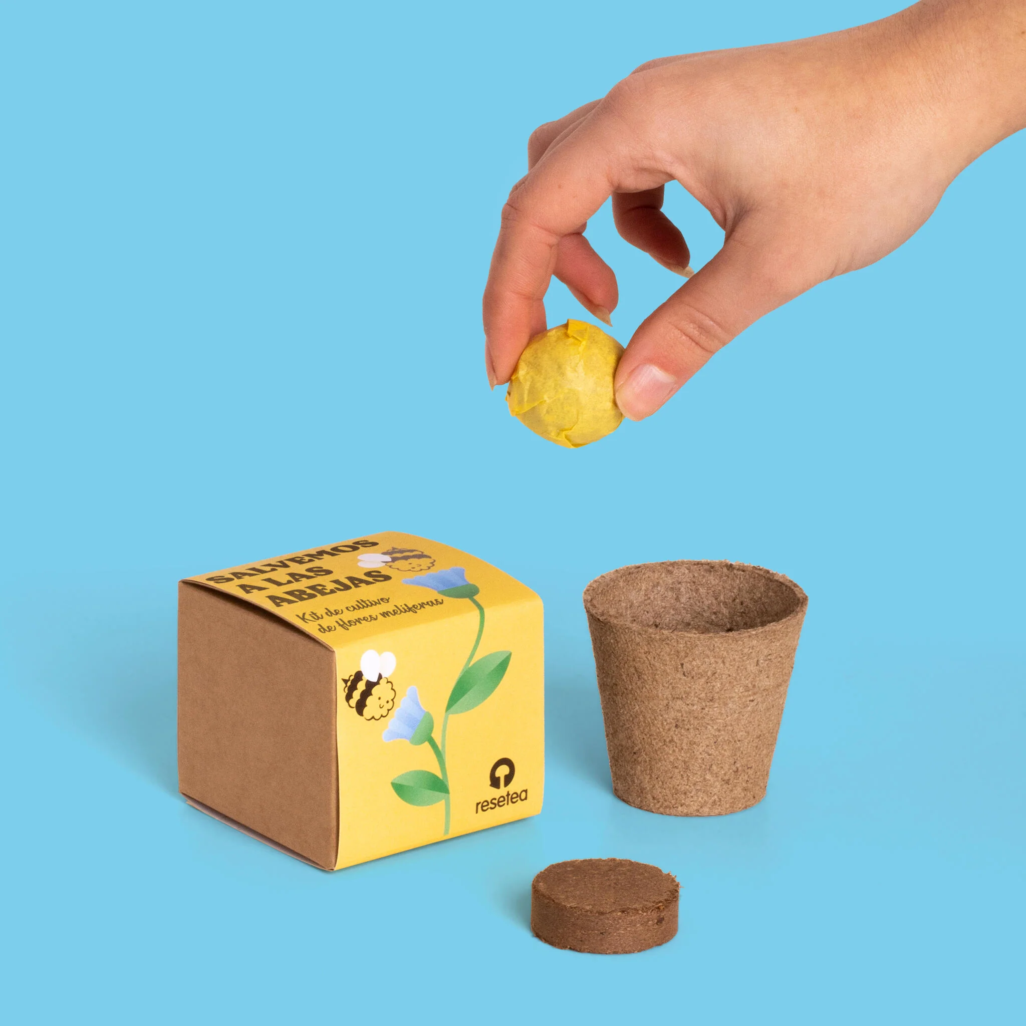 Salvemos A Las Abejas | Kit Cultivo Flores Melíferas Con Bomba De Semillas Para Polinizadores | Regalo Educativo - Image 4