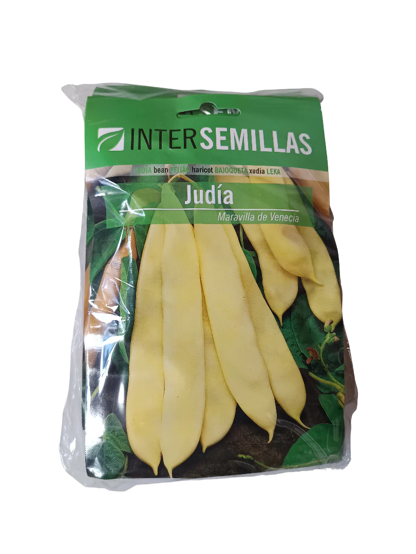 Semillas De Judia Maravilla De Venecia