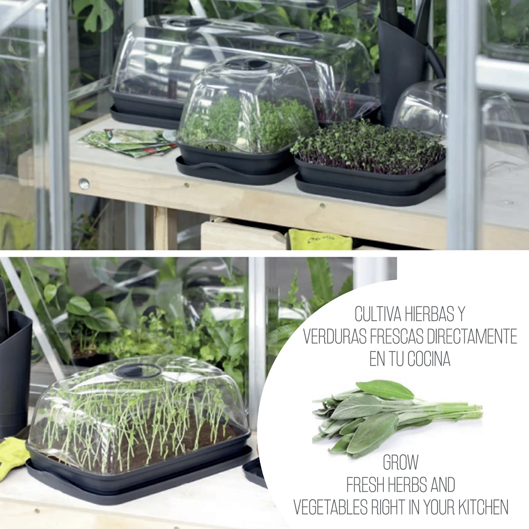 Semillero/bandeja Multiusos Con Tapa De Policarbonato Respana Table Greenhouse 3,6l., Dimensiones (mm) 391x257x185, Color Gris Piedra - Image 4