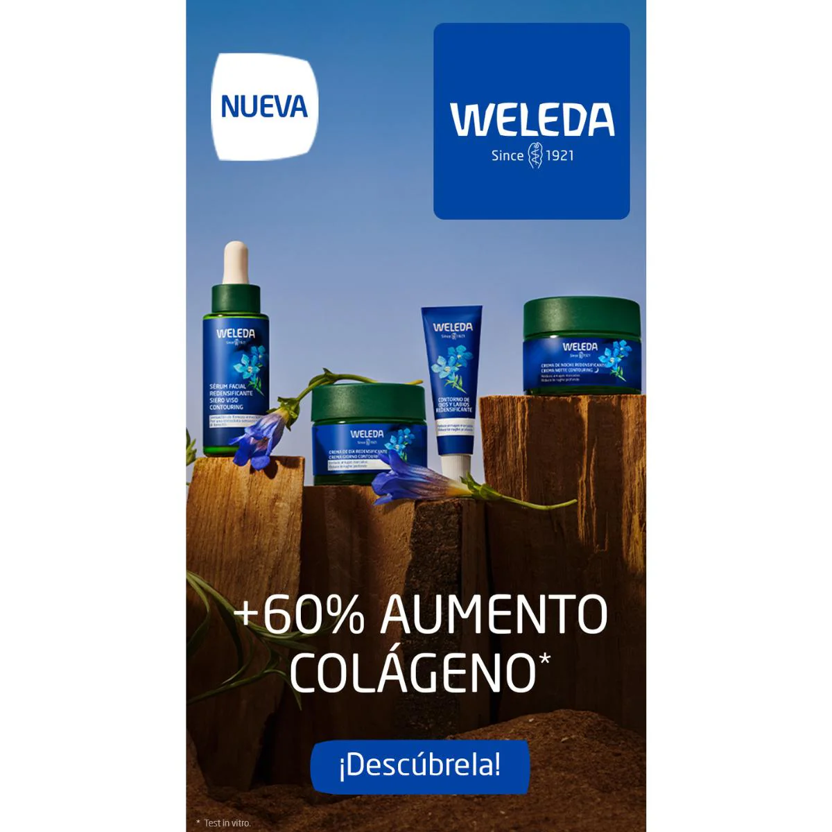 Sérum facial redensificante de Genciana azul y Edelweiss Weleda 30 ml - Image 4