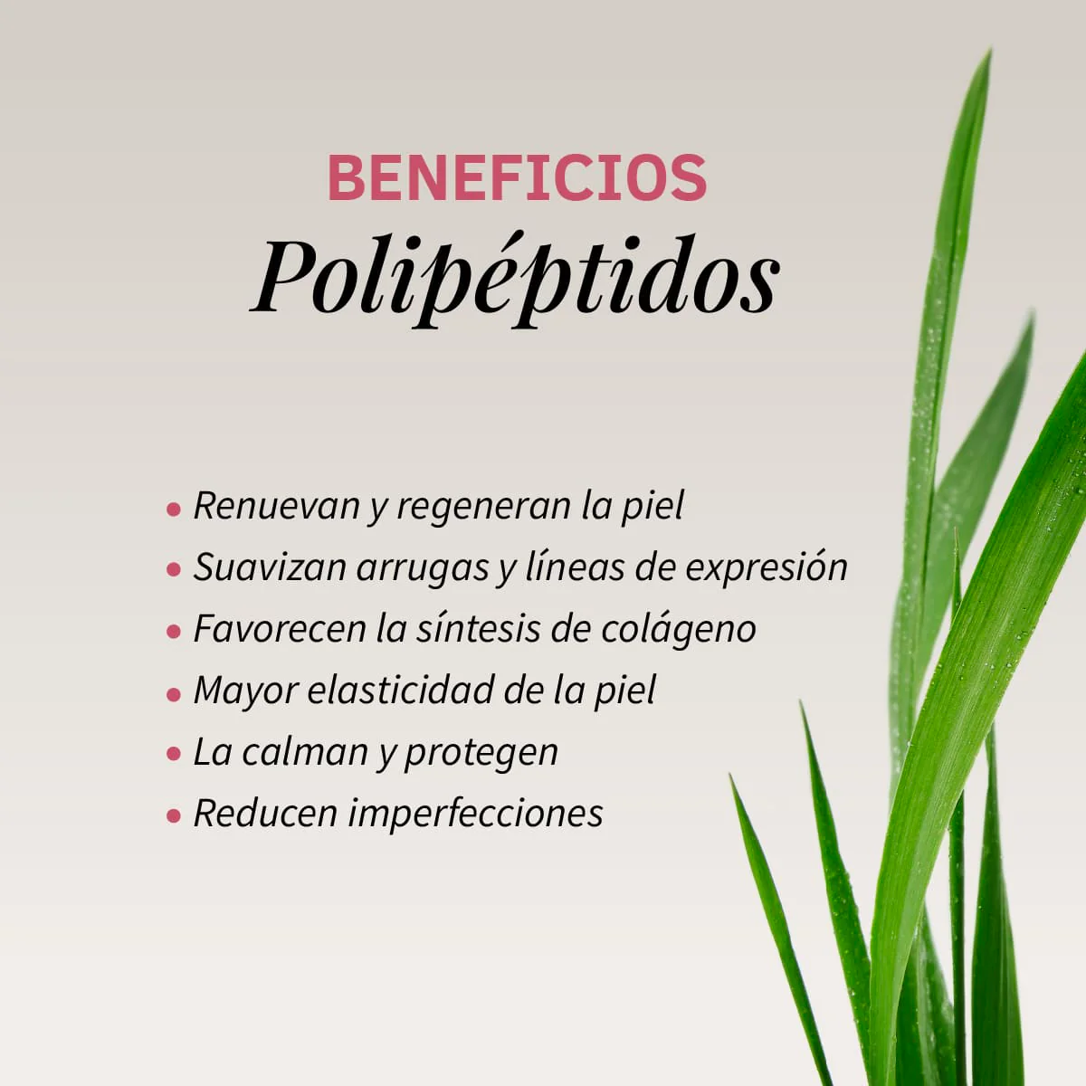 Sérum Facial Tensor Effect | Efecto Lifting Inmediato | Reafirmante Anti-aging | Hidratación y Elasticidad - Image 3