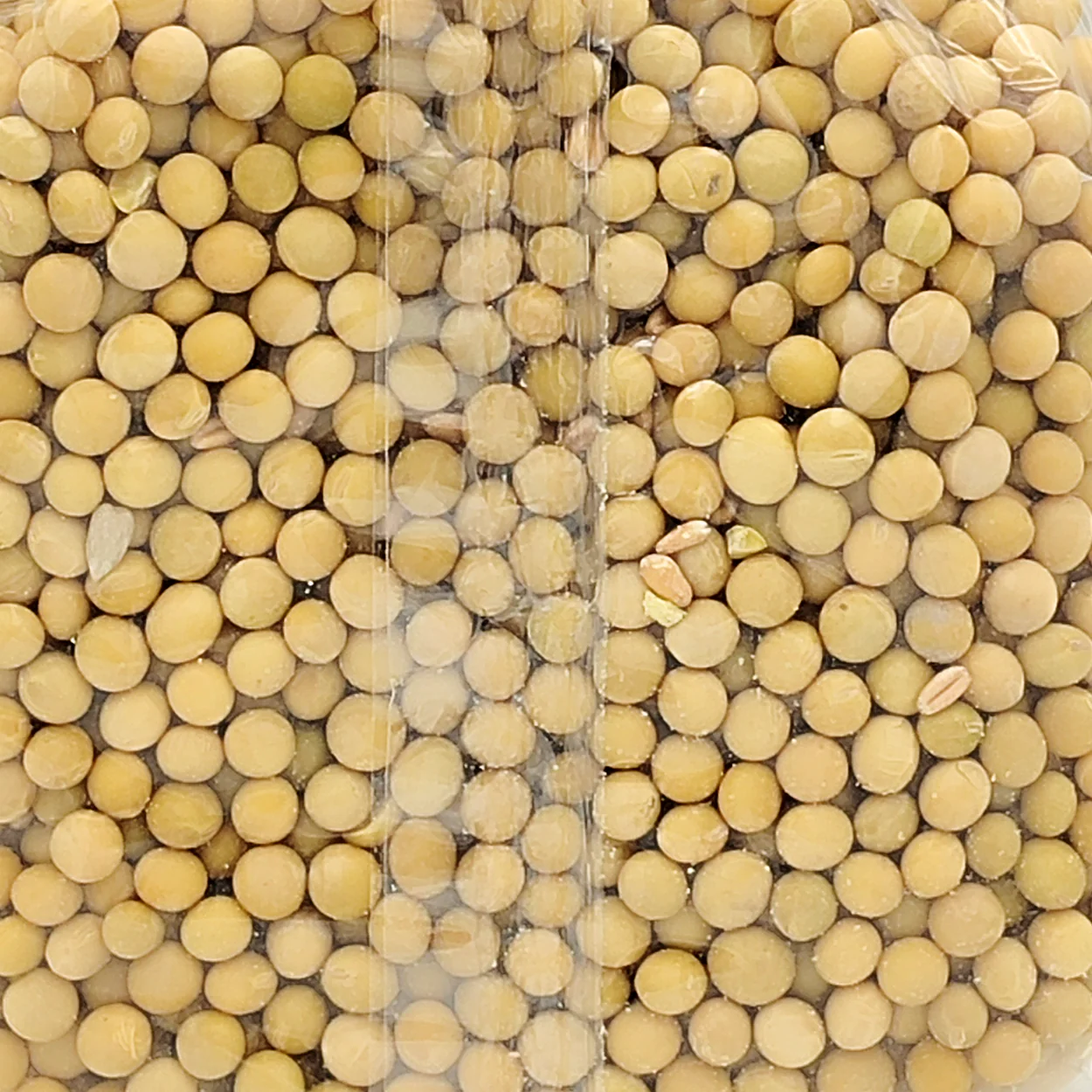 Soja Blanca En Grano Ecológica 500gr - Image 3