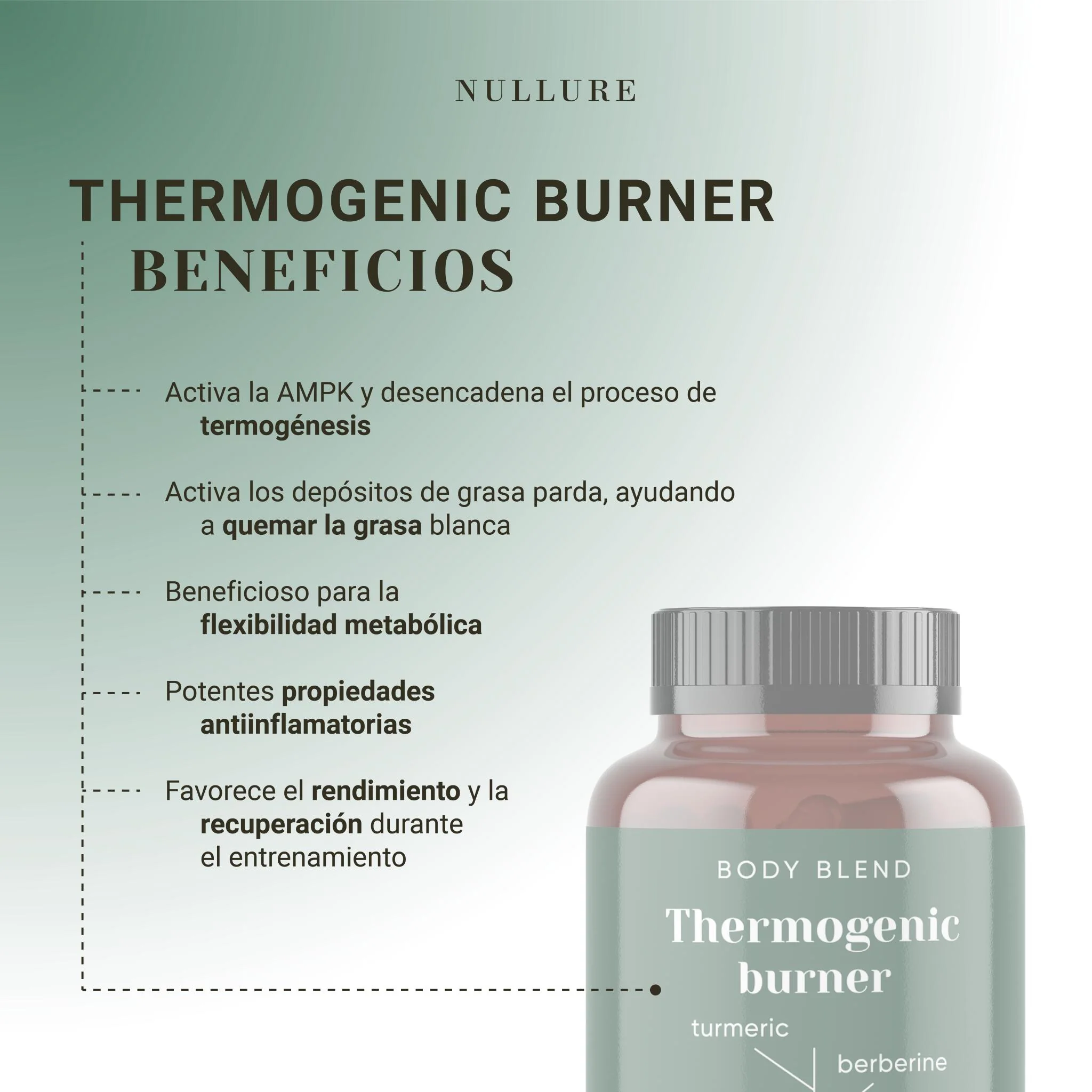 Termogénico quemagrasas – adelgazante natural con té verde, cúrcuma y resveratrol (120 cápsulas) - Image 2