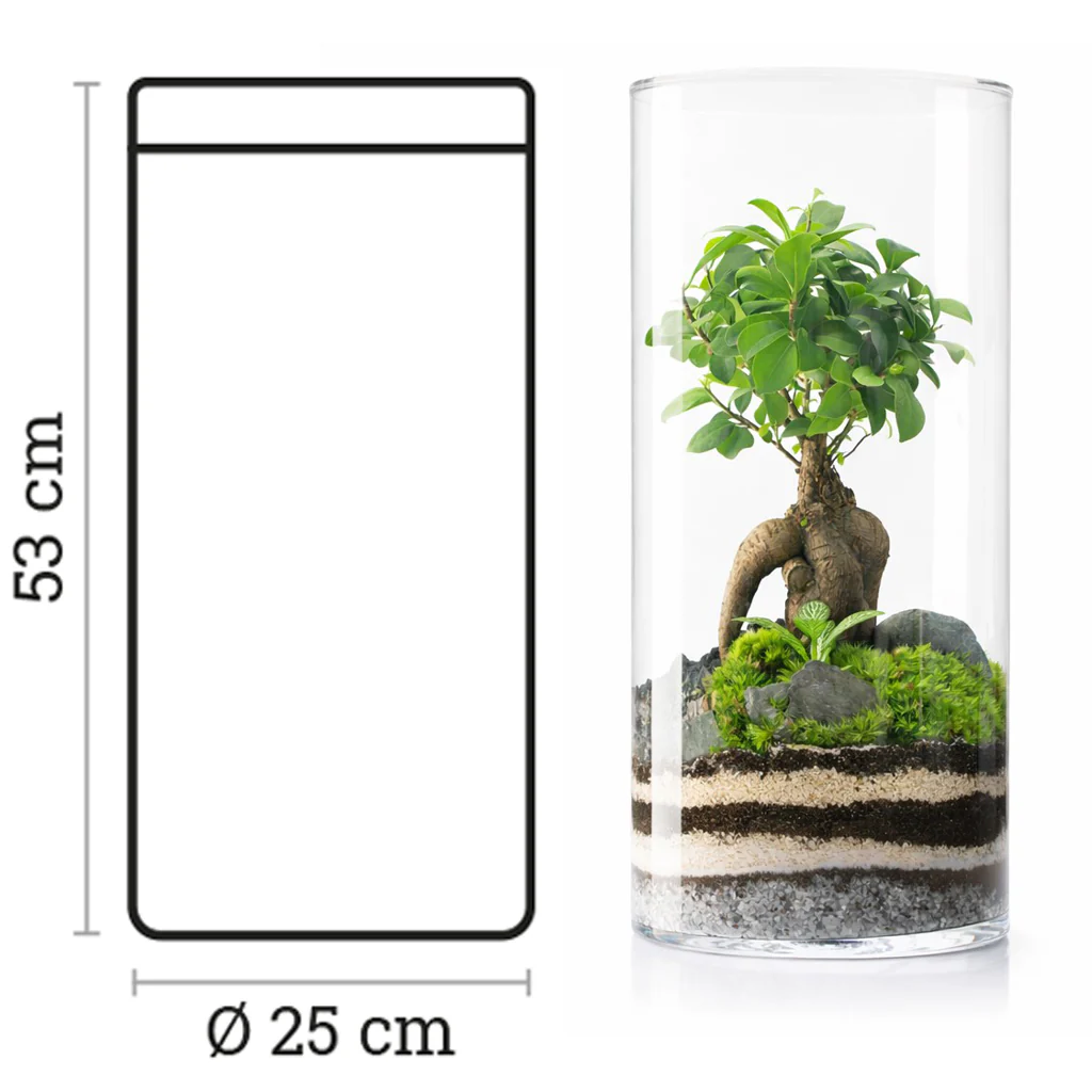 Terrario Amazonia Tower 25x52 Cm - Image 3