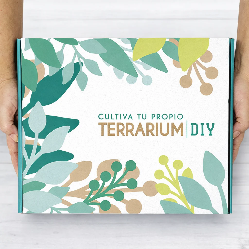 Terrarium Live Diy - Incluye Plantas Y Musgo - Image 3