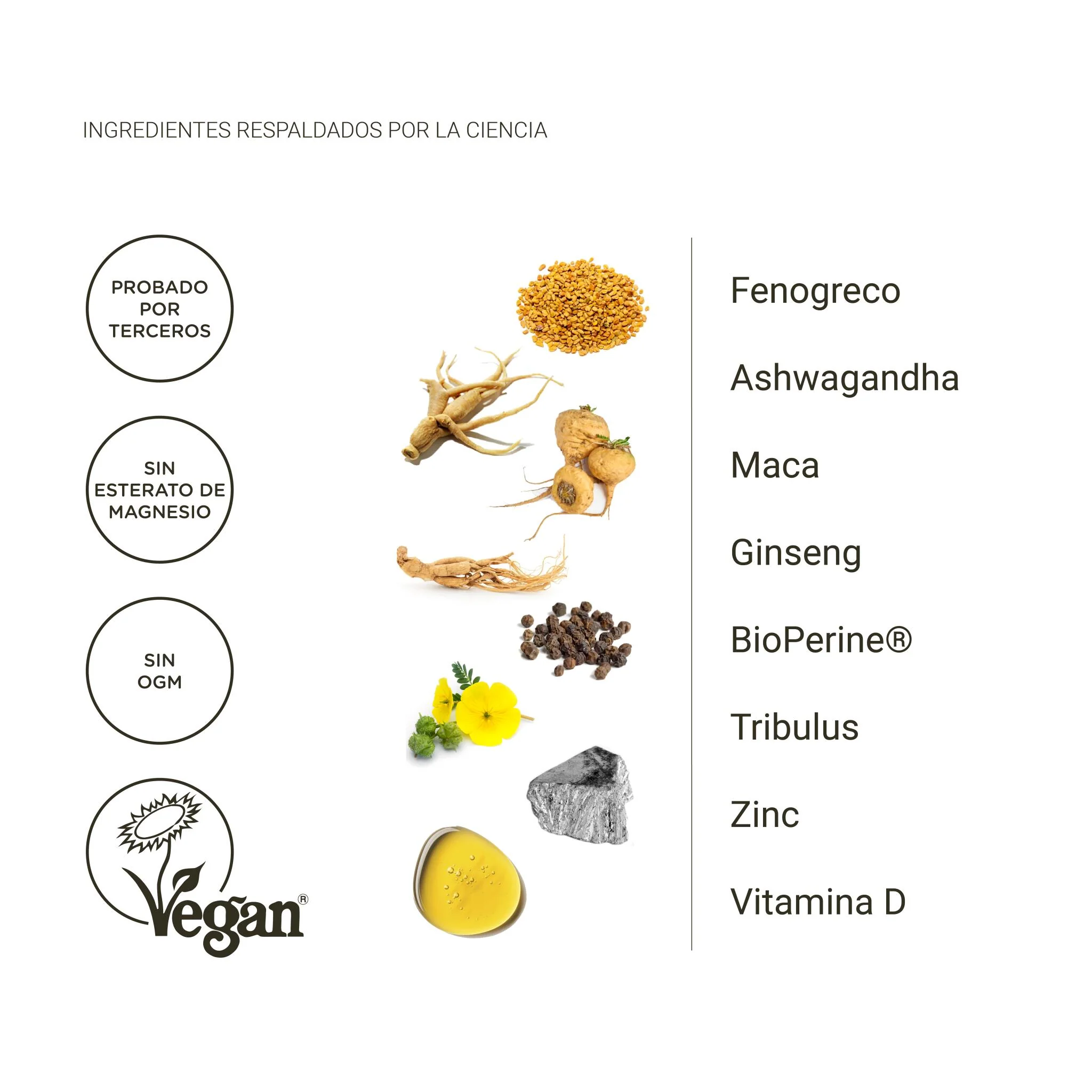 Testosterona natural hombre – maca, tribulus y ashwagandha para energía y vitalidad (120 cápsulas) - Image 4