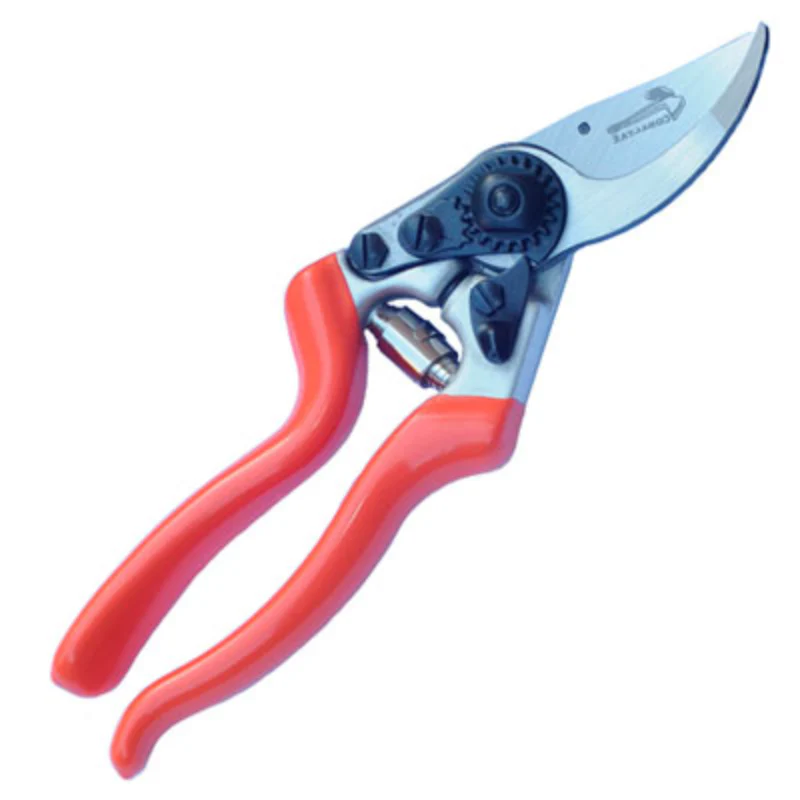 Tijera 1 M Cobaltax 24 Cm Clasica Cl-24