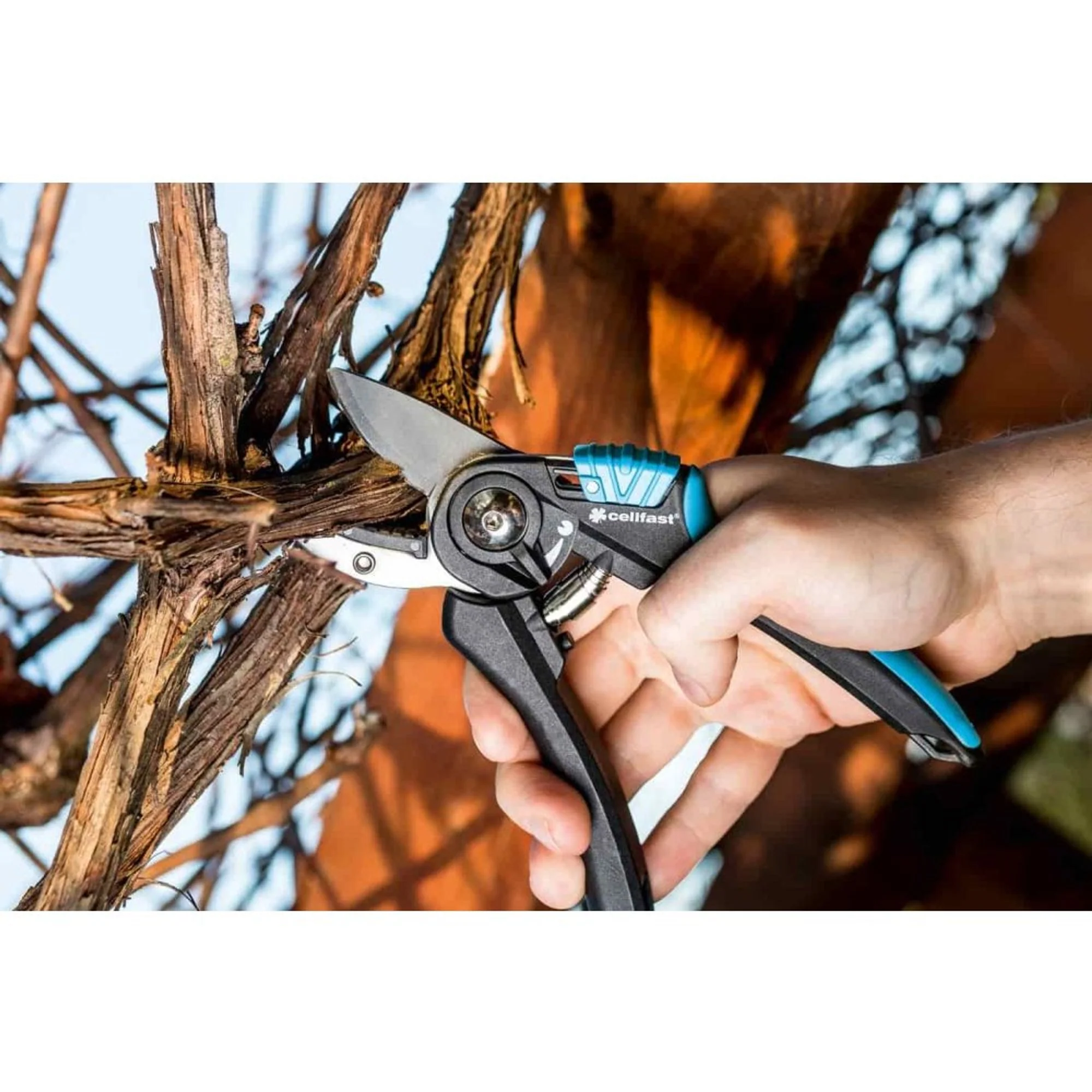 Tijeras De Podar Ergonómicas Amboss: Corte Preciso Y Sin Esfuerzo - Image 2