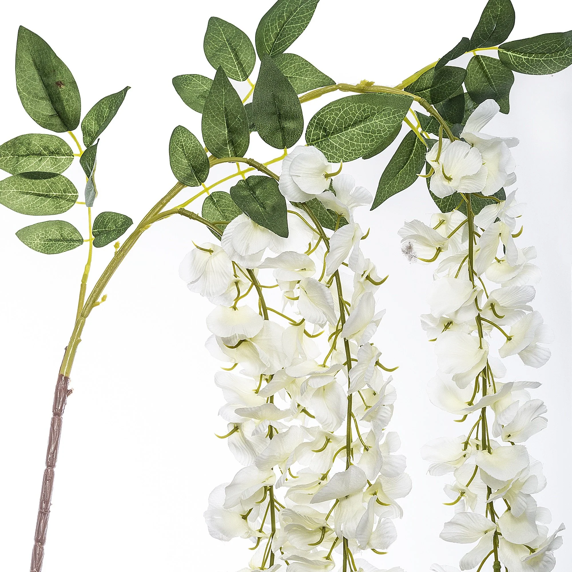 Varilla De Glicina X 3 - Image 2